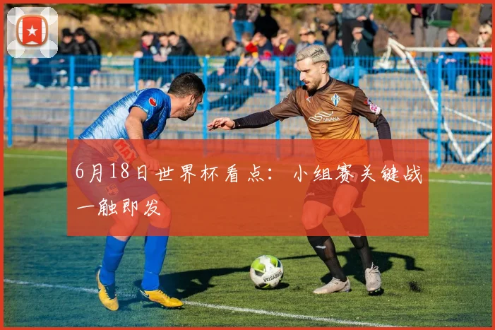 6月18日世界杯看点:小组赛关键战一触即发